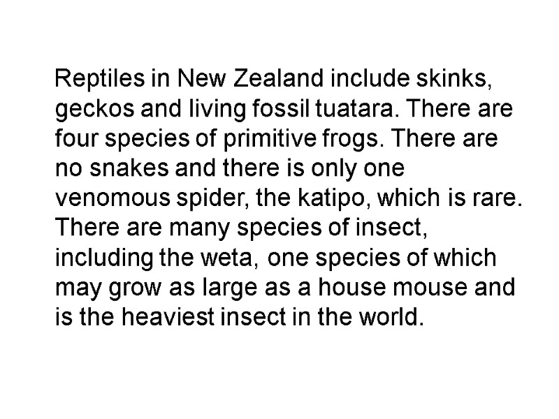 Reptiles in New Zealand include skinks, geckos and living fossil tuatara. There are four